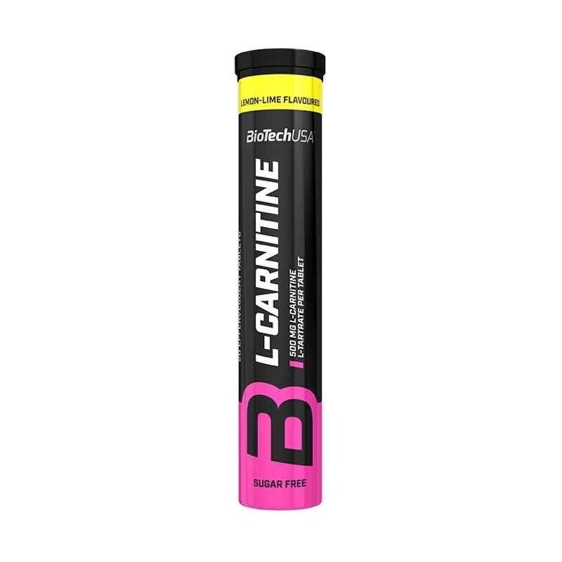 L carnitina 