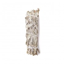 Atado Salvia Blanca Grande 22-23cm