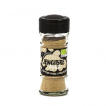 Jengibre molido Bio bote 30g Andunatura
