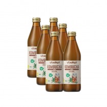 Té y extracto de hierbas * (96,5%) (agua mineral natural, té verde *, té negro *, yerba mate *, tila *, verbena de limón *, flor de aciano *, bálsamo de limón *, nano menta *, ortiga *, caspa *, flor de saúco *, hojas de frambuesa *, flores de caléndula *