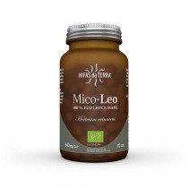 MICO-LEO