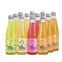Pack surtido multisabor Kombucha 12x250ml Viver